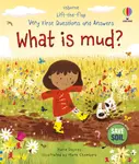 Very First Questions and Answers: What is mud? - Katie Daynes