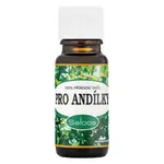 SALOOS Přírodní směs Pro Andílky 10 ml