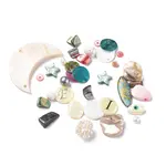 Mixed Style Natural Shell Pendants & Beads