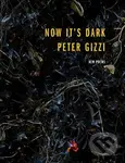 Now It's Dark - Peter Gizzi