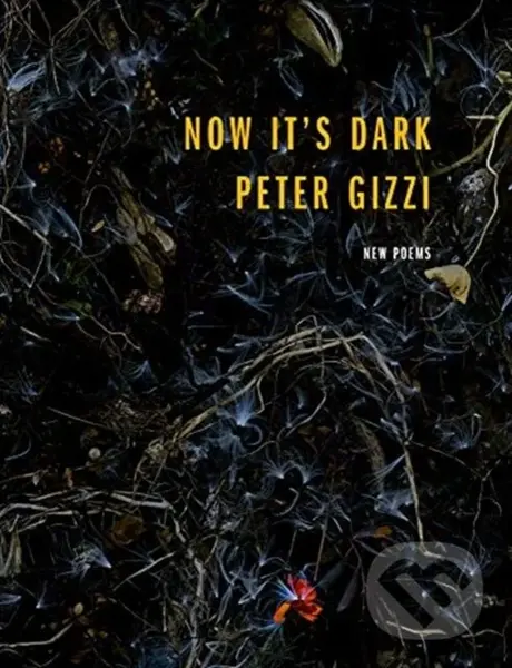 Now It's Dark - Peter Gizzi