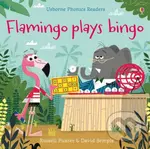 Flamingo plays Bingo - Russell Punter