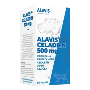 ALAVIS Celadrin 500 mg 60 tablet