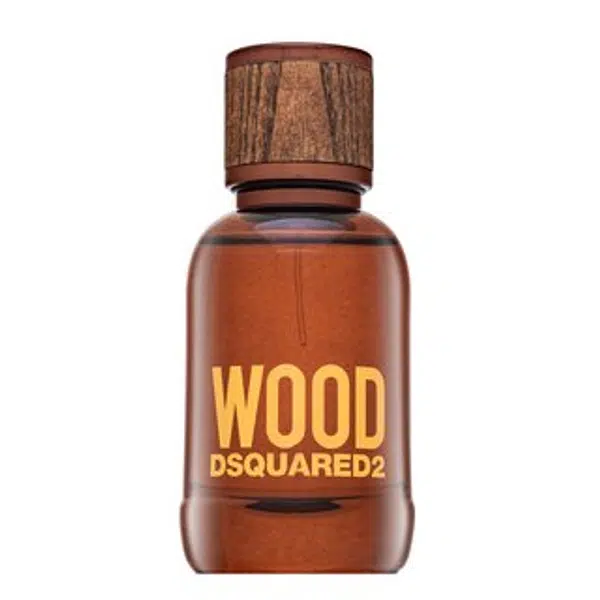 Dsquared2 Wood toaletní voda pro muže 50 ml
