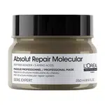 L'Oréal Professionnel Maska pro poškozené vlasy Absolute Repair Molecular (Professional Mask) 250 ml