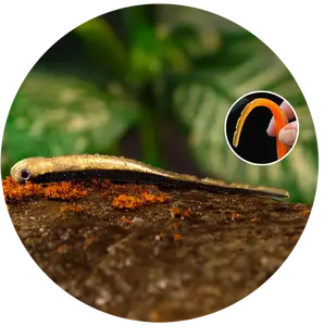 Redbass smáček big snake bass - 20 cm 24,5 g