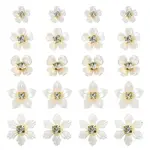 50Pcs 5 Styles Acrylic Cabochons