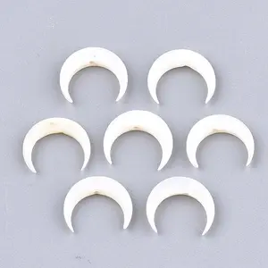 Natural Freshwater Shell Beads