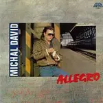 Michal David, Allegro – Allegro