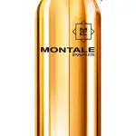Montale Aoud Leather - EDP 100 ml