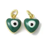 Brass Enamel Charms