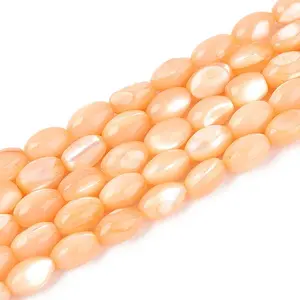 Natural Trochus Shell Beads Strands