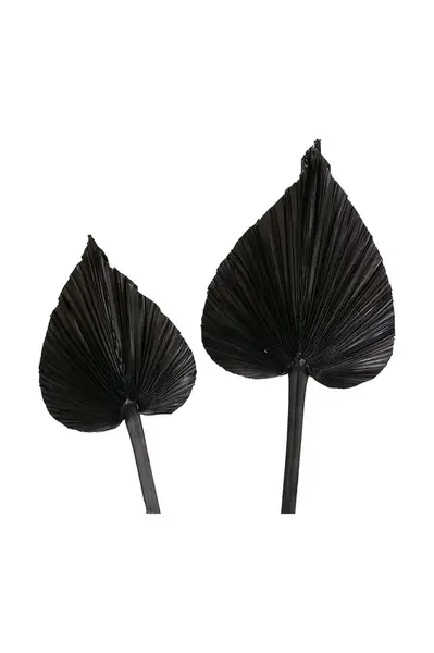 Boltze  Dekorace  Areca 2-pack