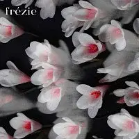 Petrofski – Frézie