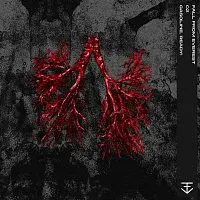 Fall From Everest – gasoline, ready!