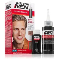 Just for Men Color Kit tónovací barva na vlasy pro muže odstín H-15 Dark Blond / Lightest Brown 1 ks