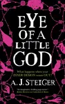Eye of a Little God - A.J. Steiger