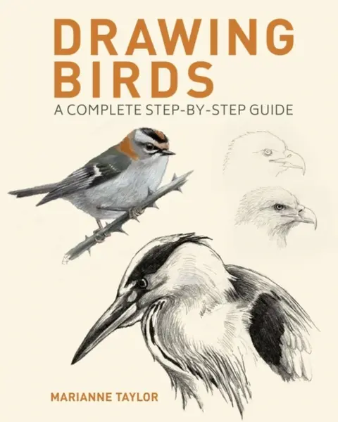 Drawing Birds - Taylor Marianne