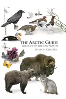 The Arctic Guide - Sharon Chester