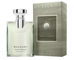 Bvlgari Bvlgari Pour Homme - EDP 100 ml