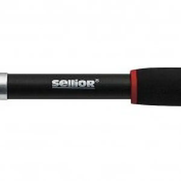 Sellior prut formula 2,4 m 40-80 g