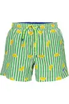Pánské zelené koupací kraťasy North Sails