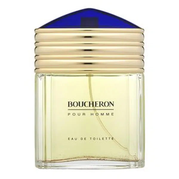 Boucheron Pour Homme toaletná voda pre mužov 100 ml