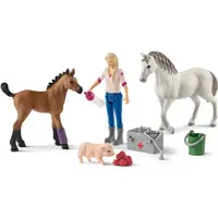 Schleich Návšteva lekára u kobyly a žriebäťa