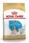 Royal Canin breed kavalír king charles junior  1,5kg
