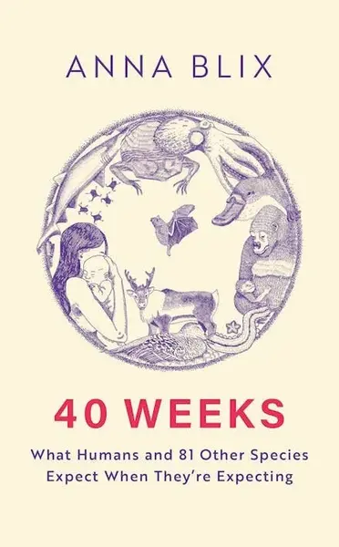 40 Weeks - Anna Blix