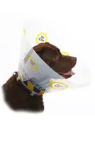 Límec ochranný Buster plastový Design Collar 15cm