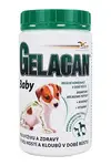 Gelacan Plus Baby 500g