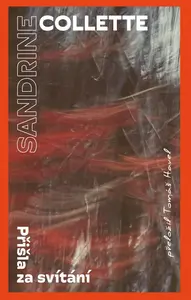 Přišla za svítání - Sandrine Collette
