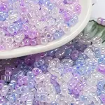 Ceylon Glass Seed Beads