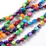 Natural Shell Beads Strands