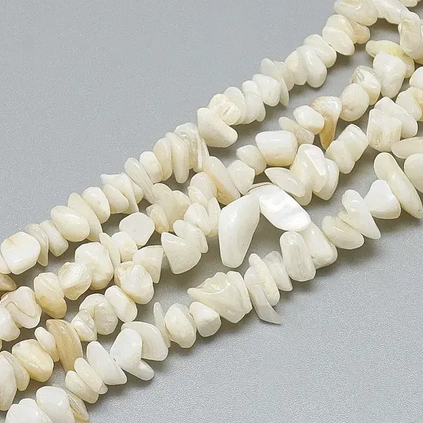 Freshwater Shell Beads Strands