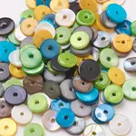 Shell Beads