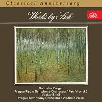 Různí interpreti – Classical Anniversary Works by Suk