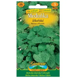 Medovka lekárska