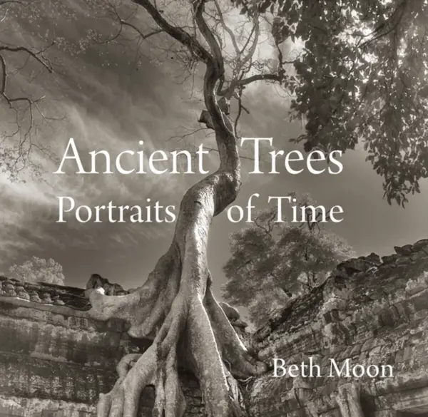 Ancient Trees - Beth Moon