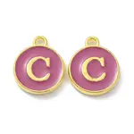 Golden Plated Alloy Enamel Charms