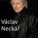 Mýdlový princ