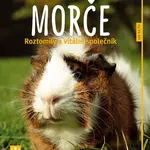 Morče