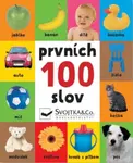 Prvních 100 slov