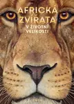 Africká zvířata V životní velikosti