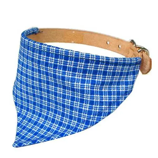 COBBYS PET Obojok z pravej kože hladký so šatkou malý 45cm