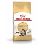 ROYAL CANIN FBN MAINE COON 400g -suché krmivo pre Mainskú mývaliu mačku