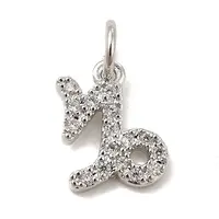 Brass Micro Pave Cubic Zirconia Charms