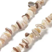 Natural Freshwater Shell Beads Strands