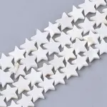 Freshwater Shell Beads Strands